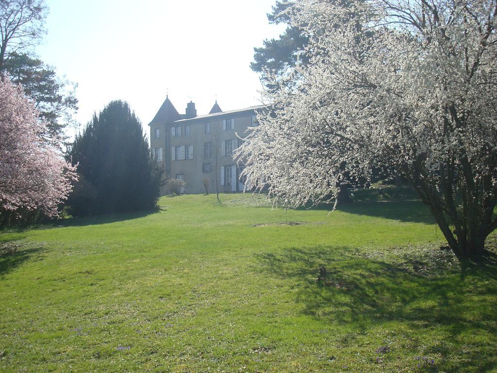 Chateau De Bourrassol Bed & Breakfast Menetrol Luaran gambar